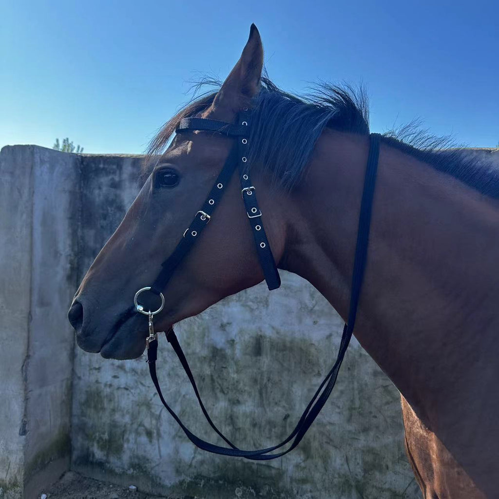 Horse Halter Rope Riding Hose Bridle Fiber, Halster Touw – Sterk Nylon – Paard – Rood