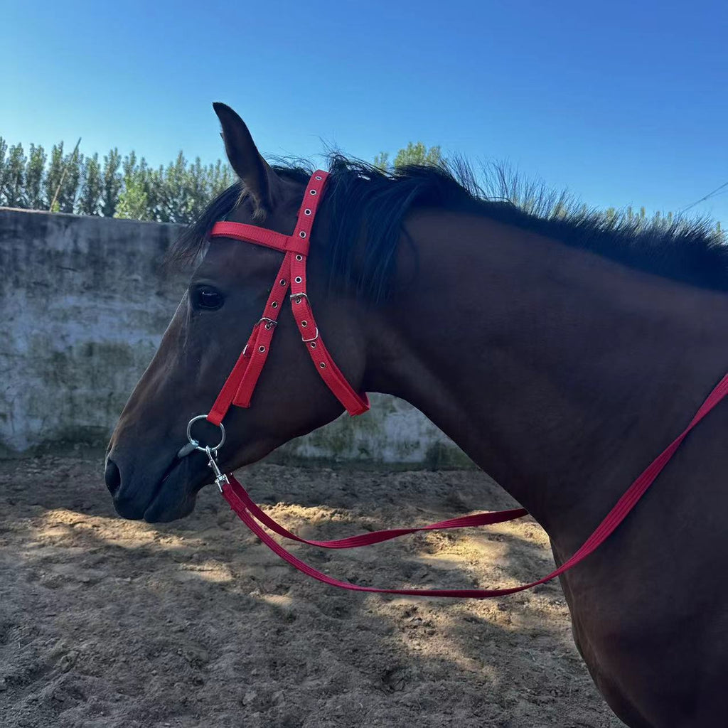 Horse Halter Rope Riding Hose Bridle Fiber, Halster Touw – Sterk Nylon – Paard – Rood