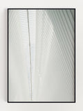 Light Like Spine Poster