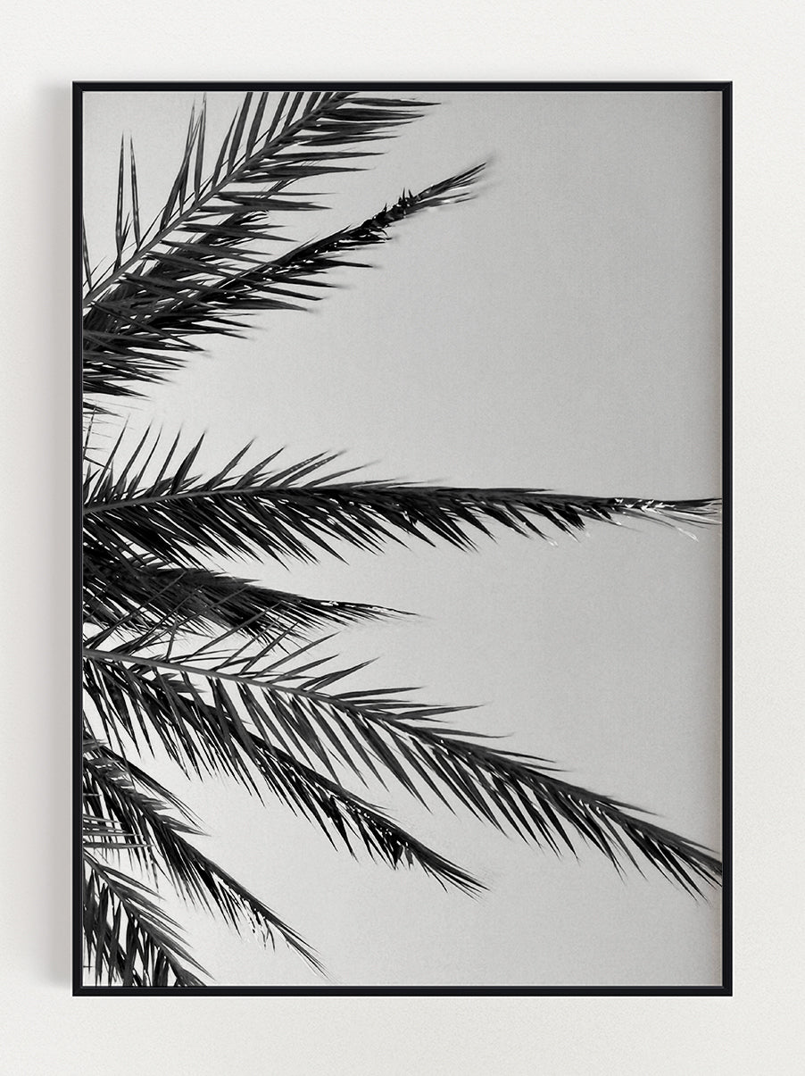 Palm Tree Poster